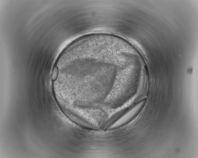 X0000093101288200710241213