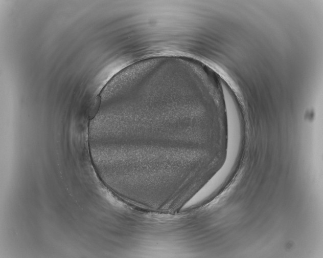 X0000093101289200710241213