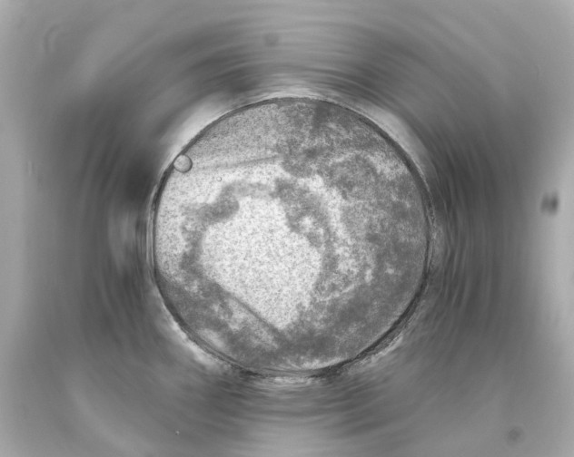 X0000093101290200710241213