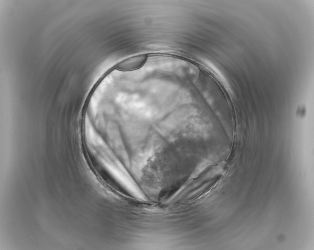 X0000093101291200710241213