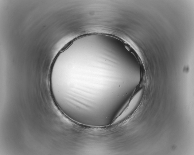X0000093101293200710241213