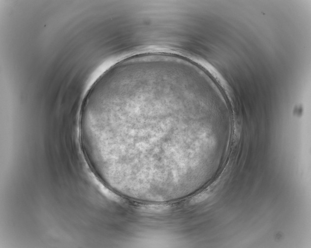 X0000093101294200710241213