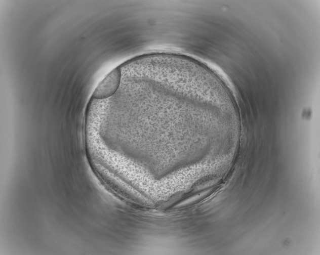 X0000093101295200710241213