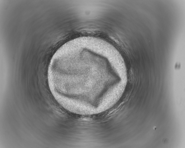 X0000093101297200710241212
