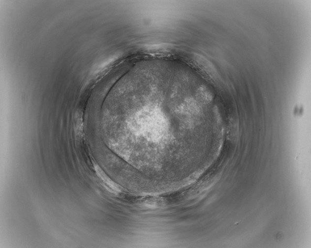 X0000093101298200710241212