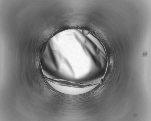 X0000093101300200710241212