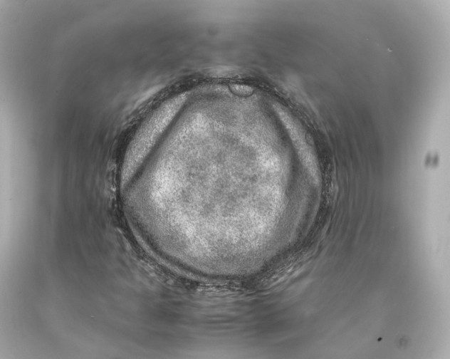 X0000093101301200710241212