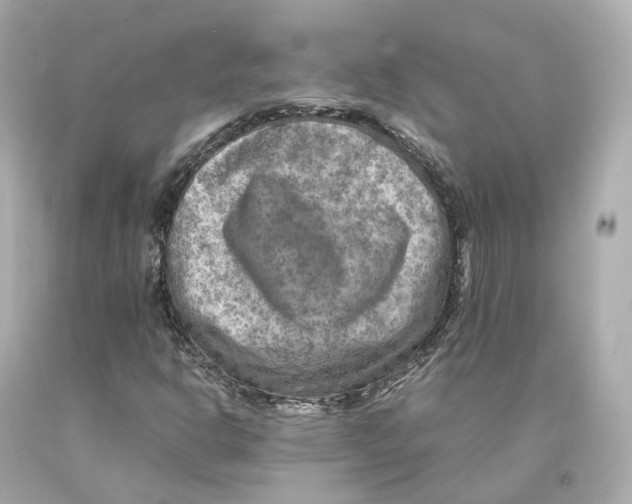 X0000093101302200710241212