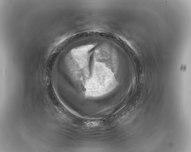 X0000093101303200710241212