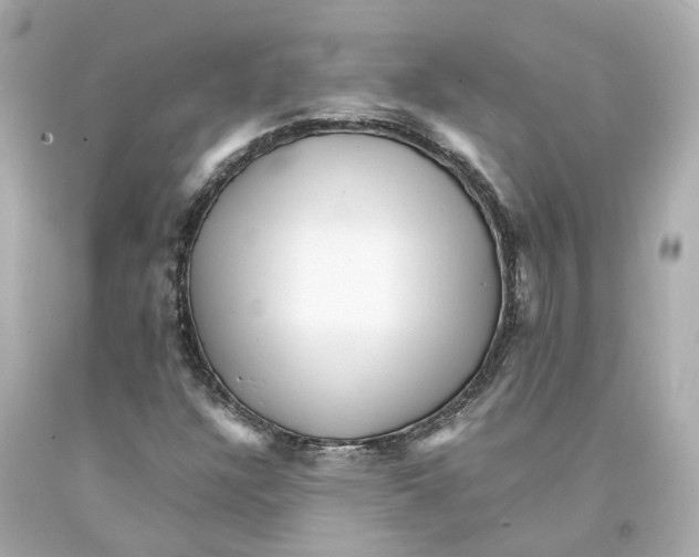 X0000093101304200710241212