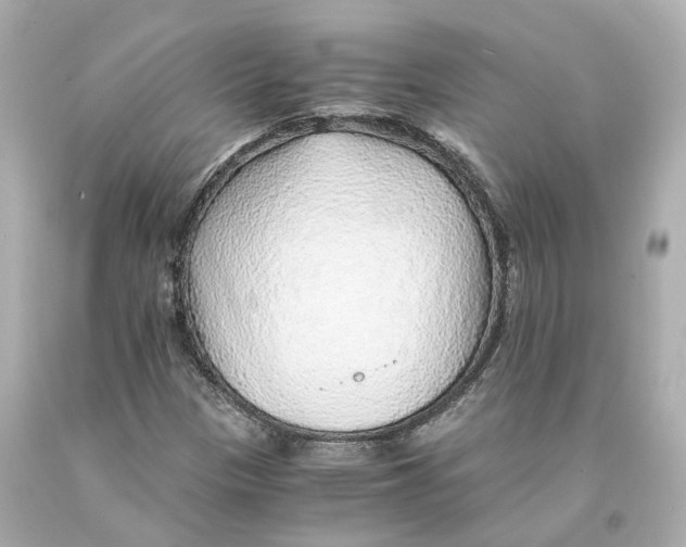 X0000093101305200710241212