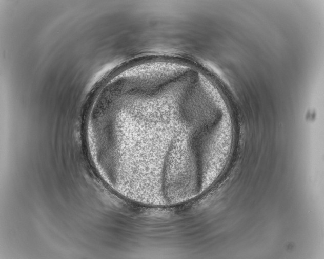 X0000093101307200710241212