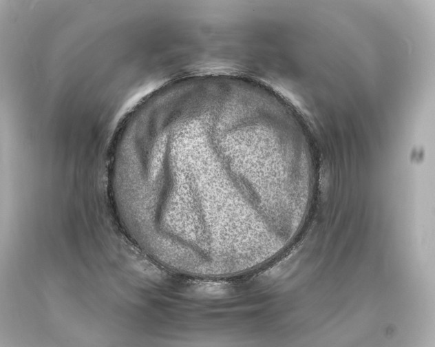 X0000093101309200710241213