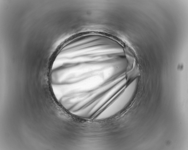 X0000093101312200710241213