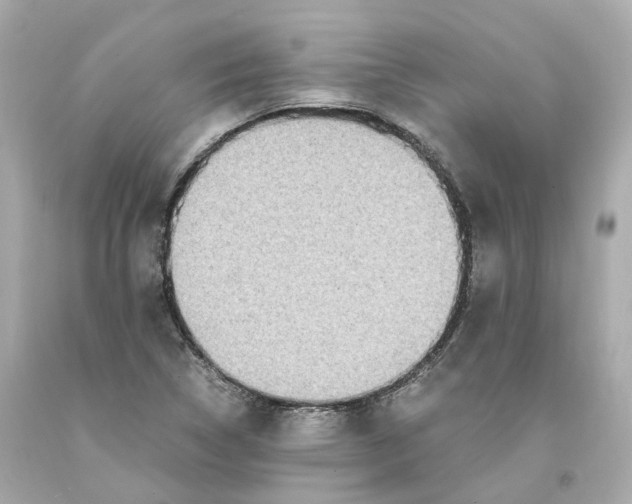 X0000093101314200710241213