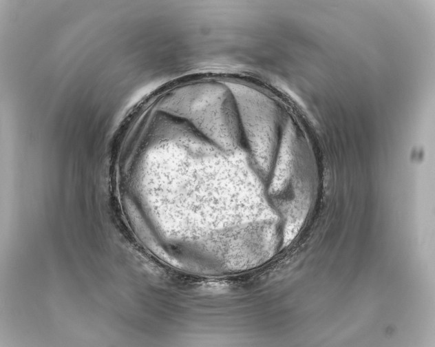 X0000093101315200710241213