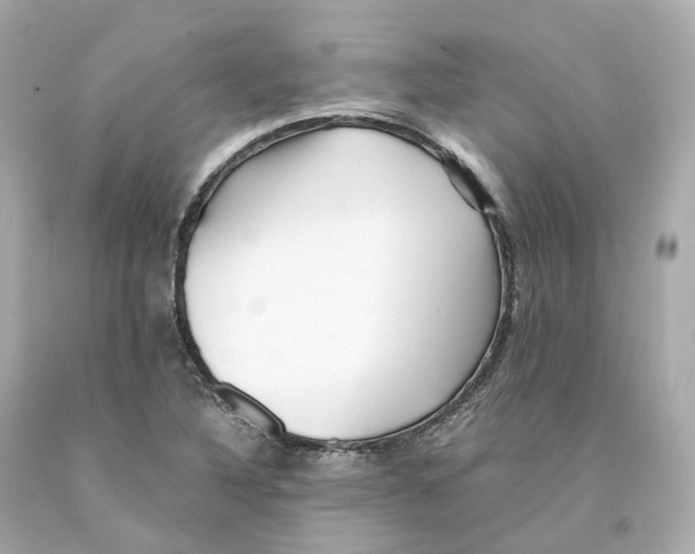 X0000093101316200710241213