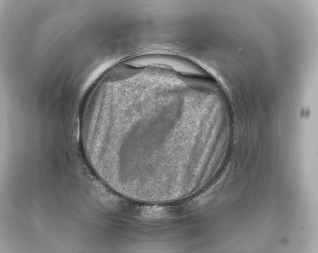 X0000093101317200710241213