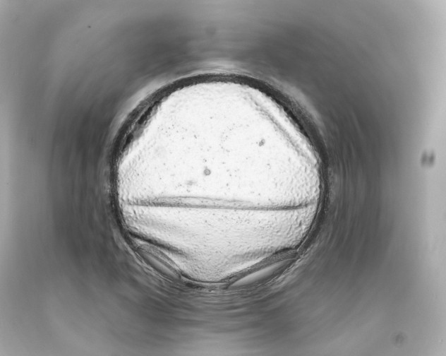 X0000093101318200710241213