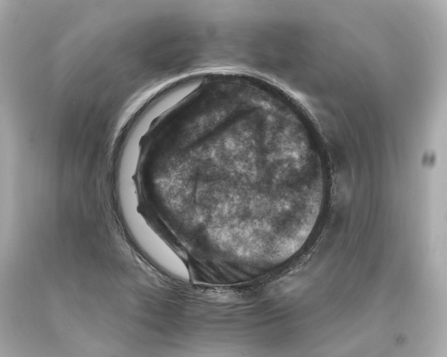 X0000093101319200710241213