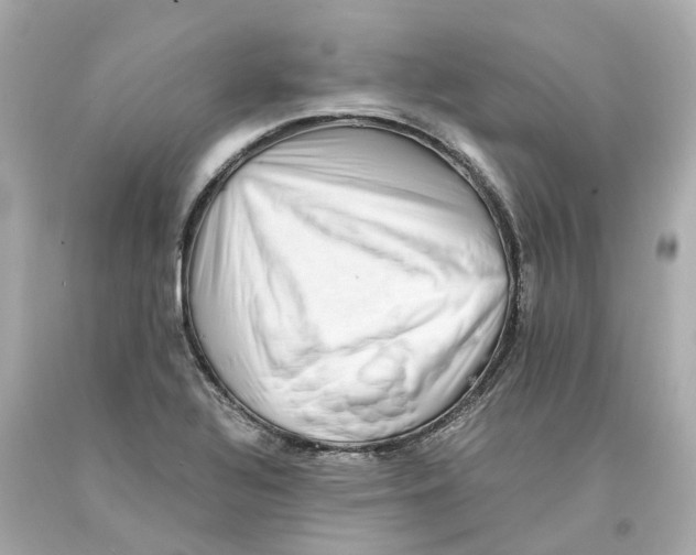 X0000093101320200710241213