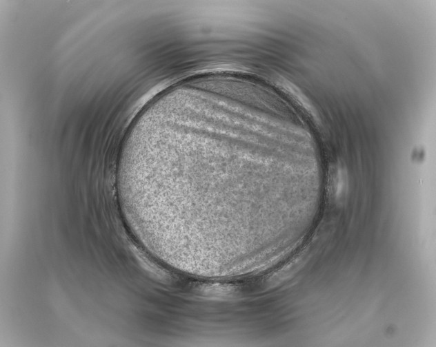 X0000093101321200710241213