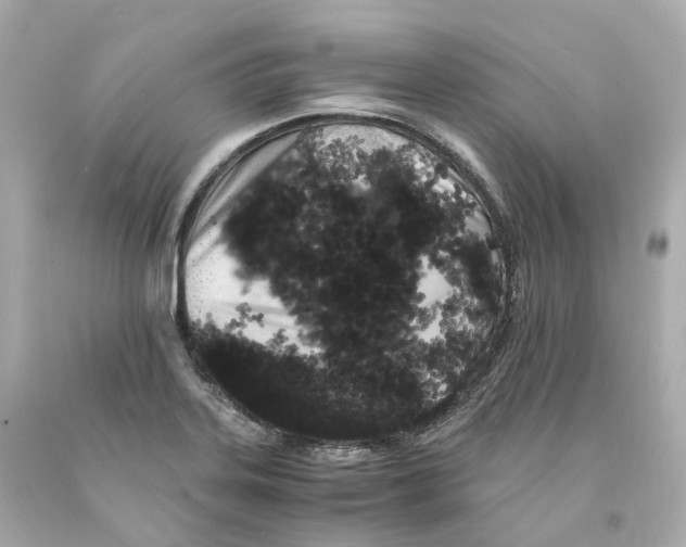 X0000093101323200710241213