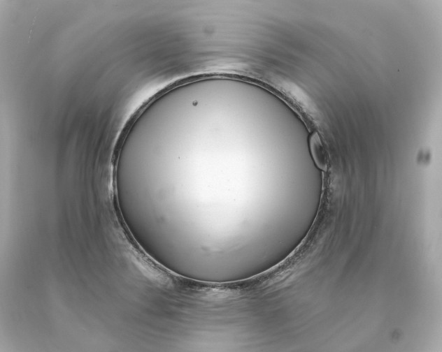 X0000093101324200710241213