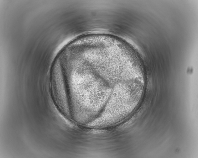 X0000093101325200710241213