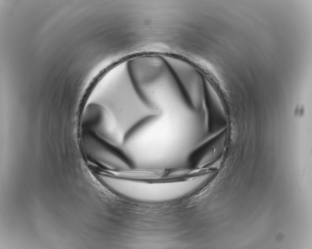 X0000093101326200710241213