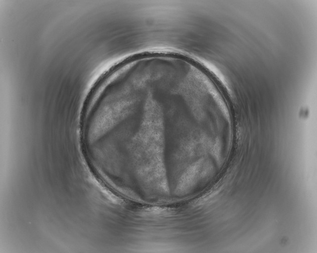 X0000093101327200710241213