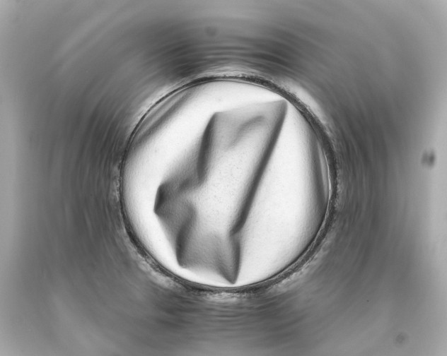 X0000093101329200710241213