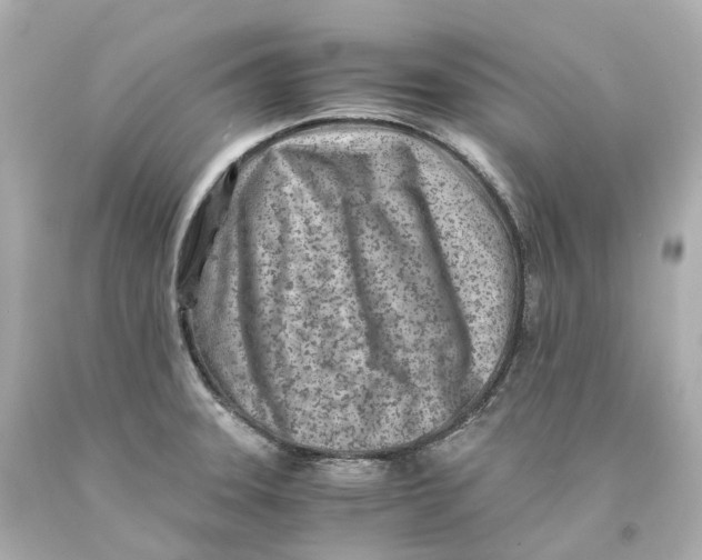 X0000093101331200710241213