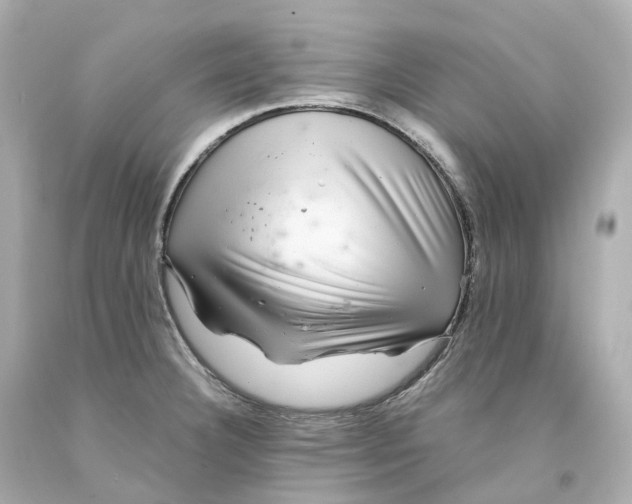 X0000093101332200710241213
