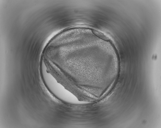 X0000093101333200710241213