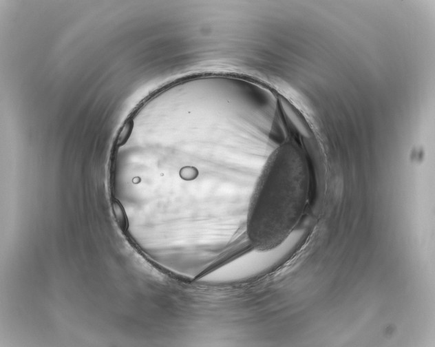 X0000093101334200710241213