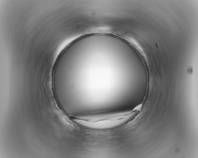 X0000093101336200710241213