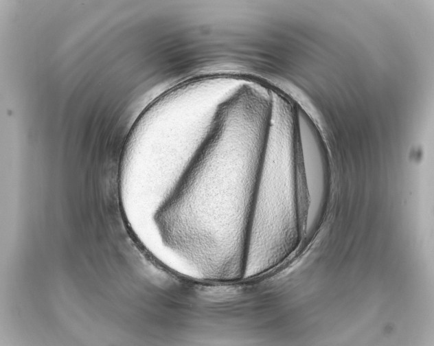 X0000093101337200710241213
