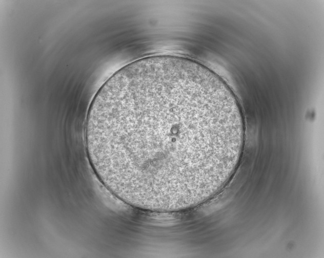 X0000093101338200710241213