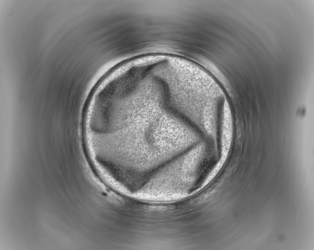 X0000093101339200710241213