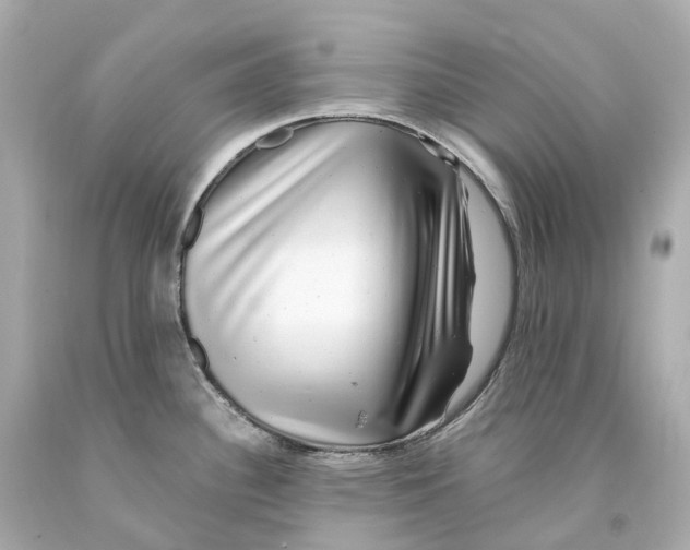 X0000093101340200710241213