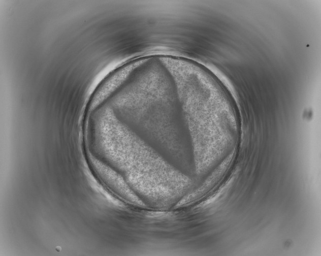 X0000093101341200710241213