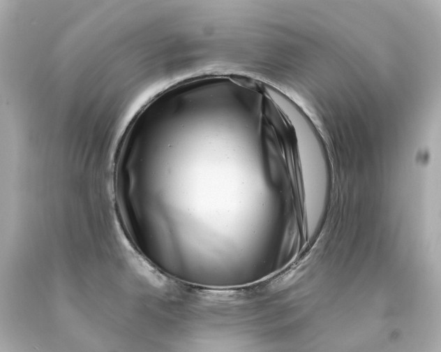 X0000093101342200710241213