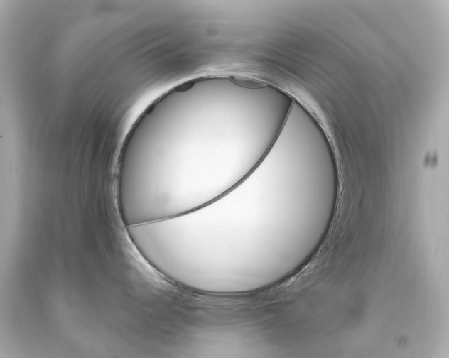 X0000093101344200710241213