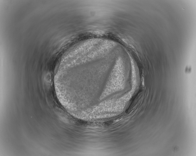 X0000093101347200710241212