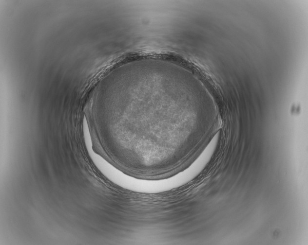 X0000093101348200710241212