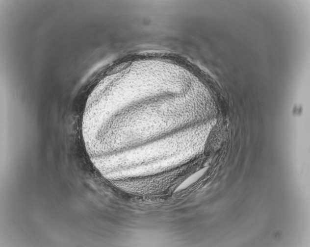 X0000093101351200710241212