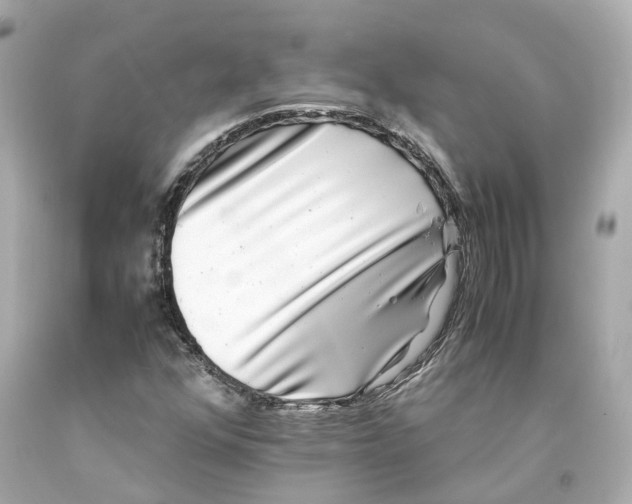X0000093101352200710241212