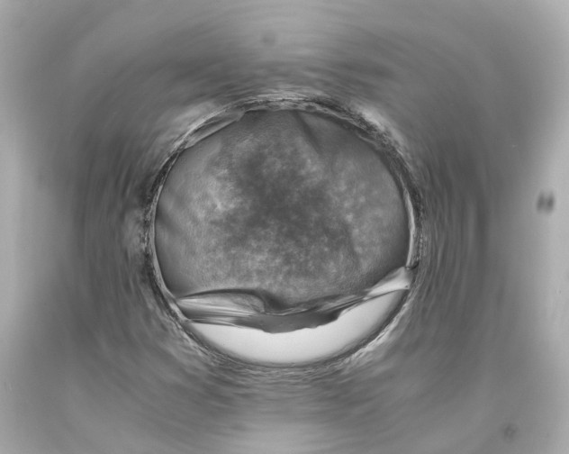 X0000093101353200710241212