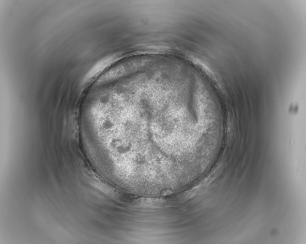 X0000093101354200710241212